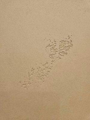 Taupe Beige Backdrop