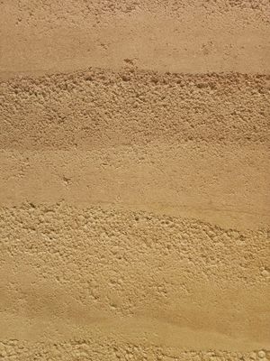 Sandstone Brown Backdrop