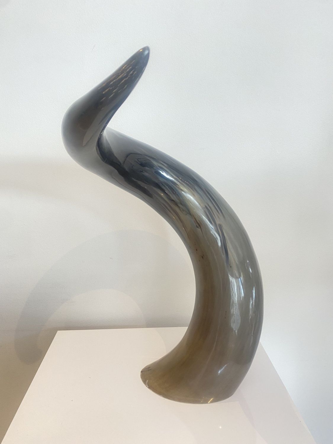 Natural Horn Twist