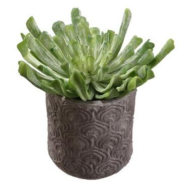 SOLD Faux Plant - Med. Succulent 11 x 10&quot;