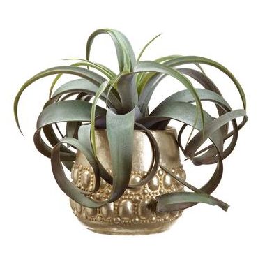 Faux Plant - Air Plant in Gold Ornate Pot, 11 x 13&quot;