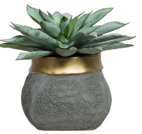 Faux Plant - Succulent In Grey Pot, Brass Trim-   11&quot;H x 12&quot;W x 12&quot;D