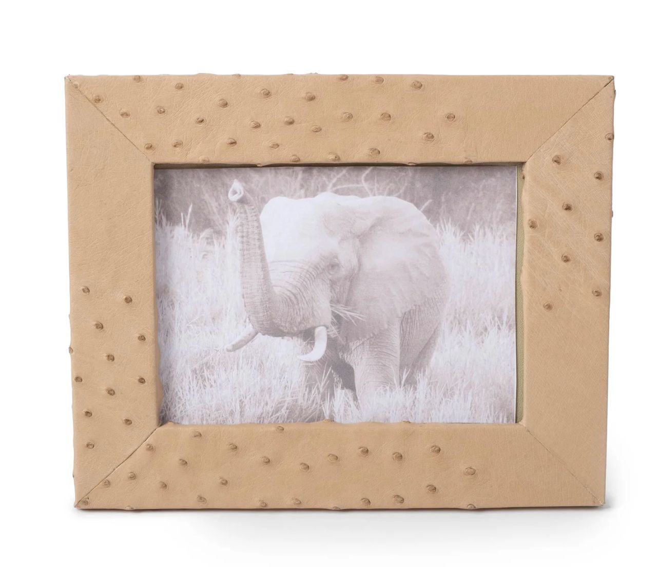 Frame Ostrich Leather Tan Cream Natural 5x7 Small - 1 available
