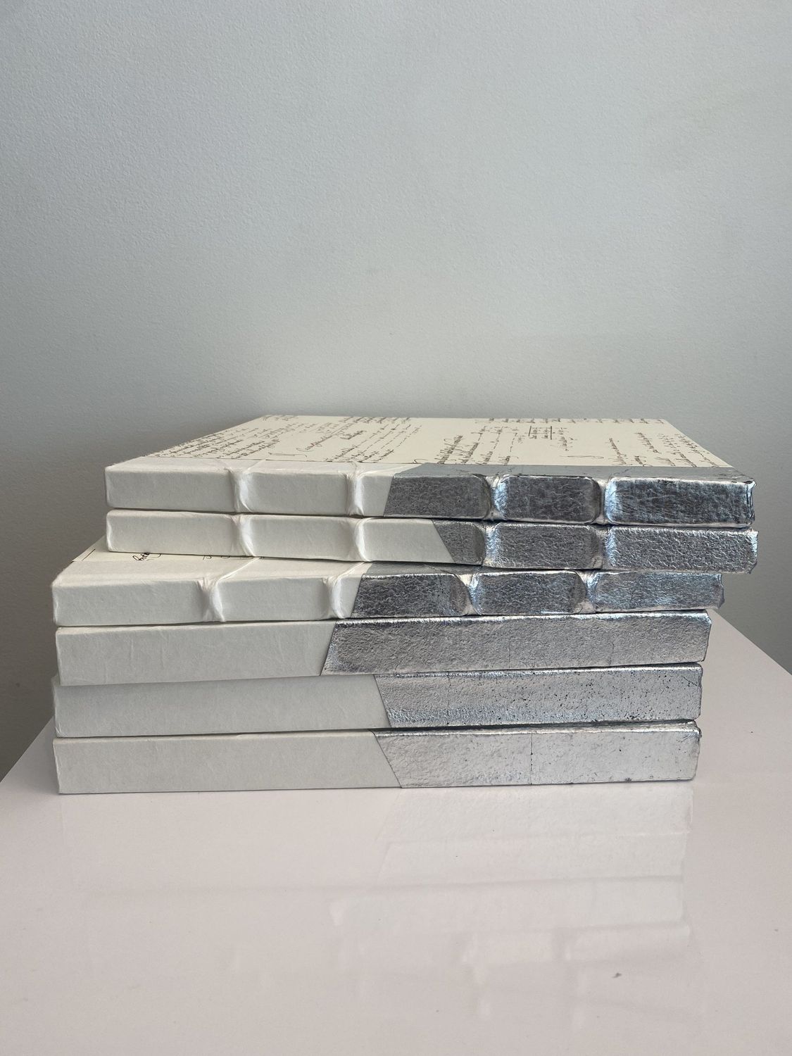*Book Dipped Silver half XL