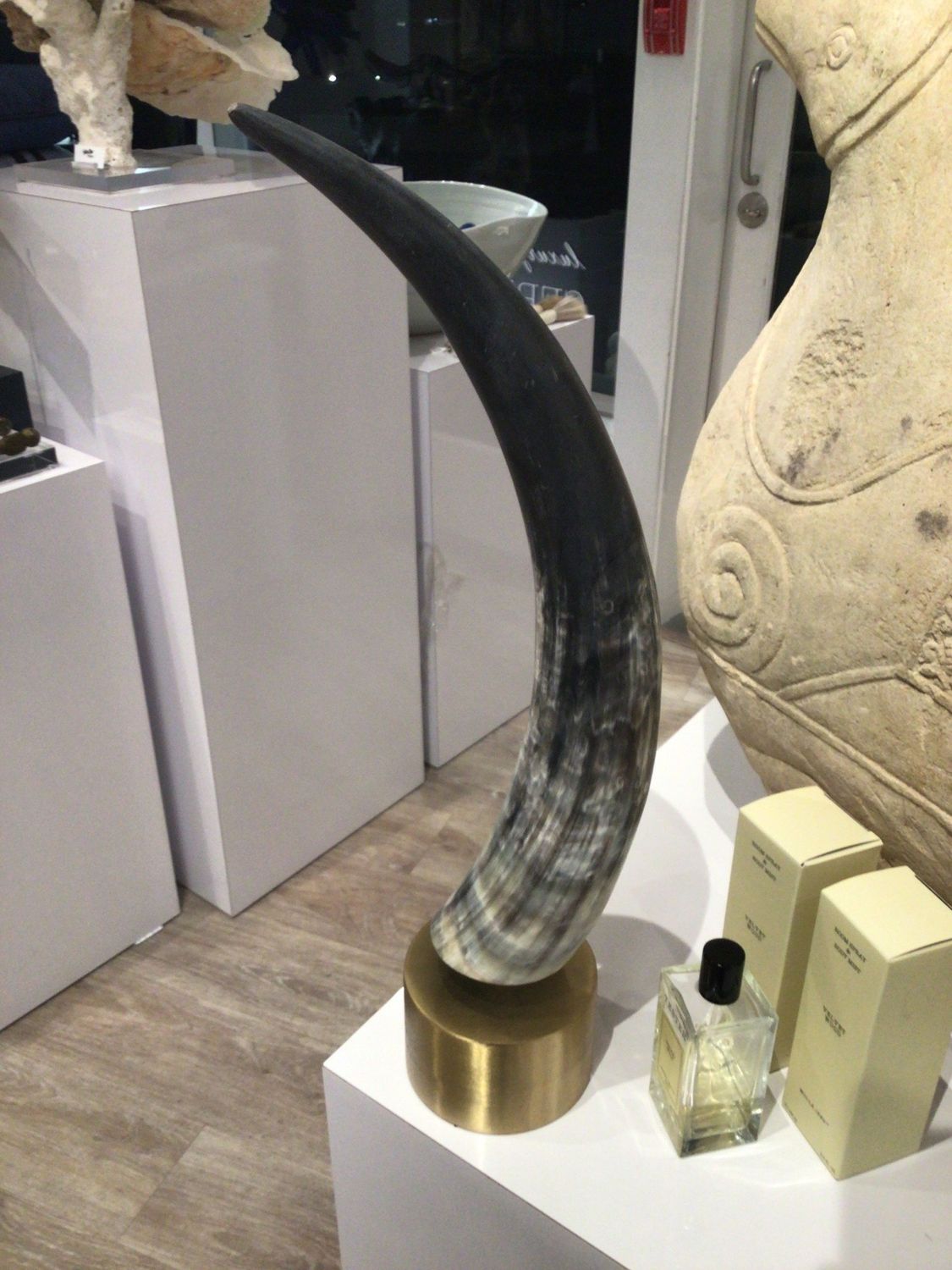 Large Natural Matte Horn With Brass Base