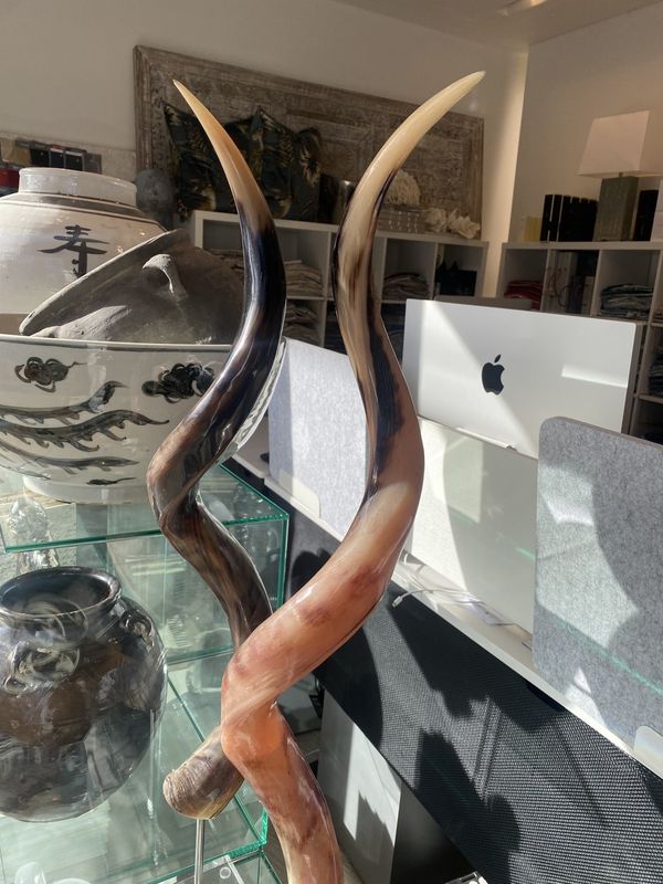 Horn Kudu Polished Mounted on Stand Pink Brown