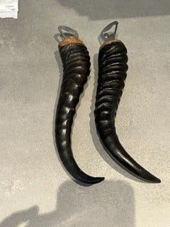 Bottle Opener Black Springbok Horn - Matte Finish