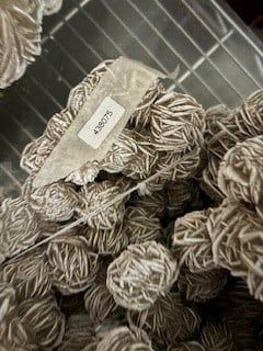 Villaahumada Desert Rose. 438075
