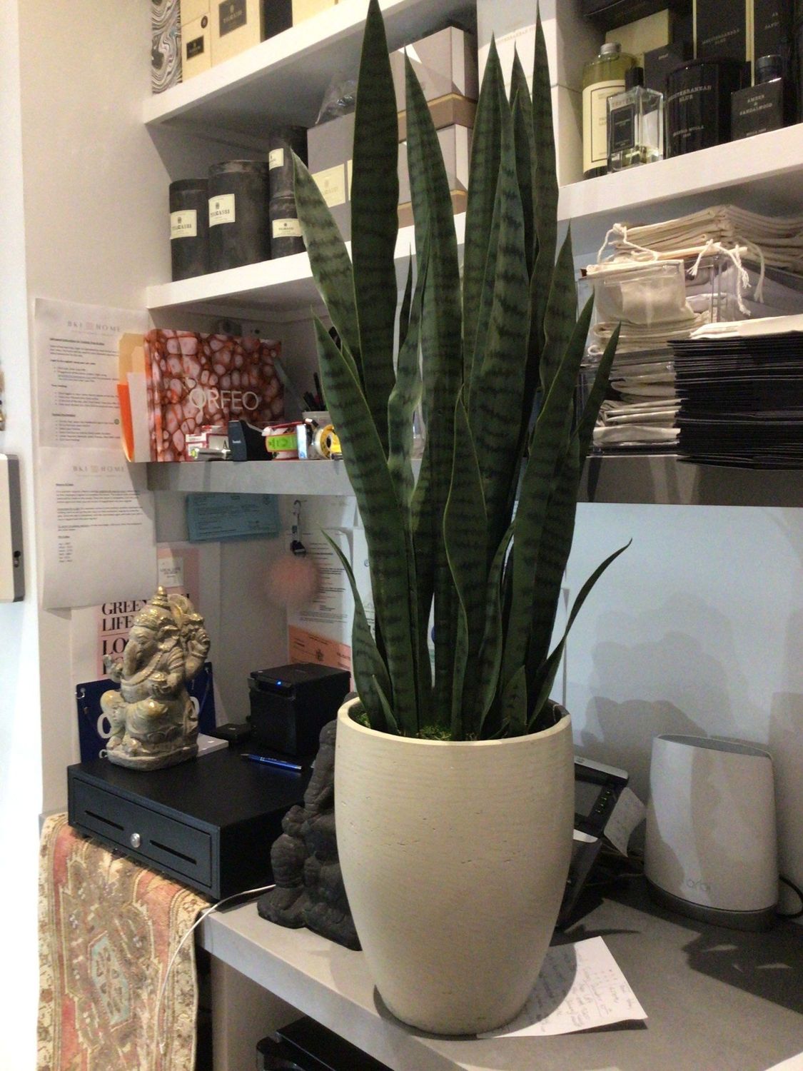 Faux Snake Plant In Cement Color Floor Vessel