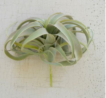 Faux Silk Air Plant