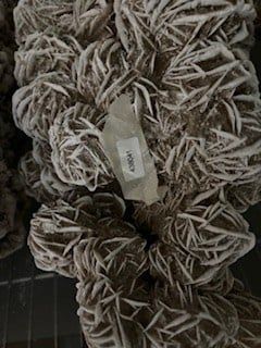 SOLD Desert Rose  438041