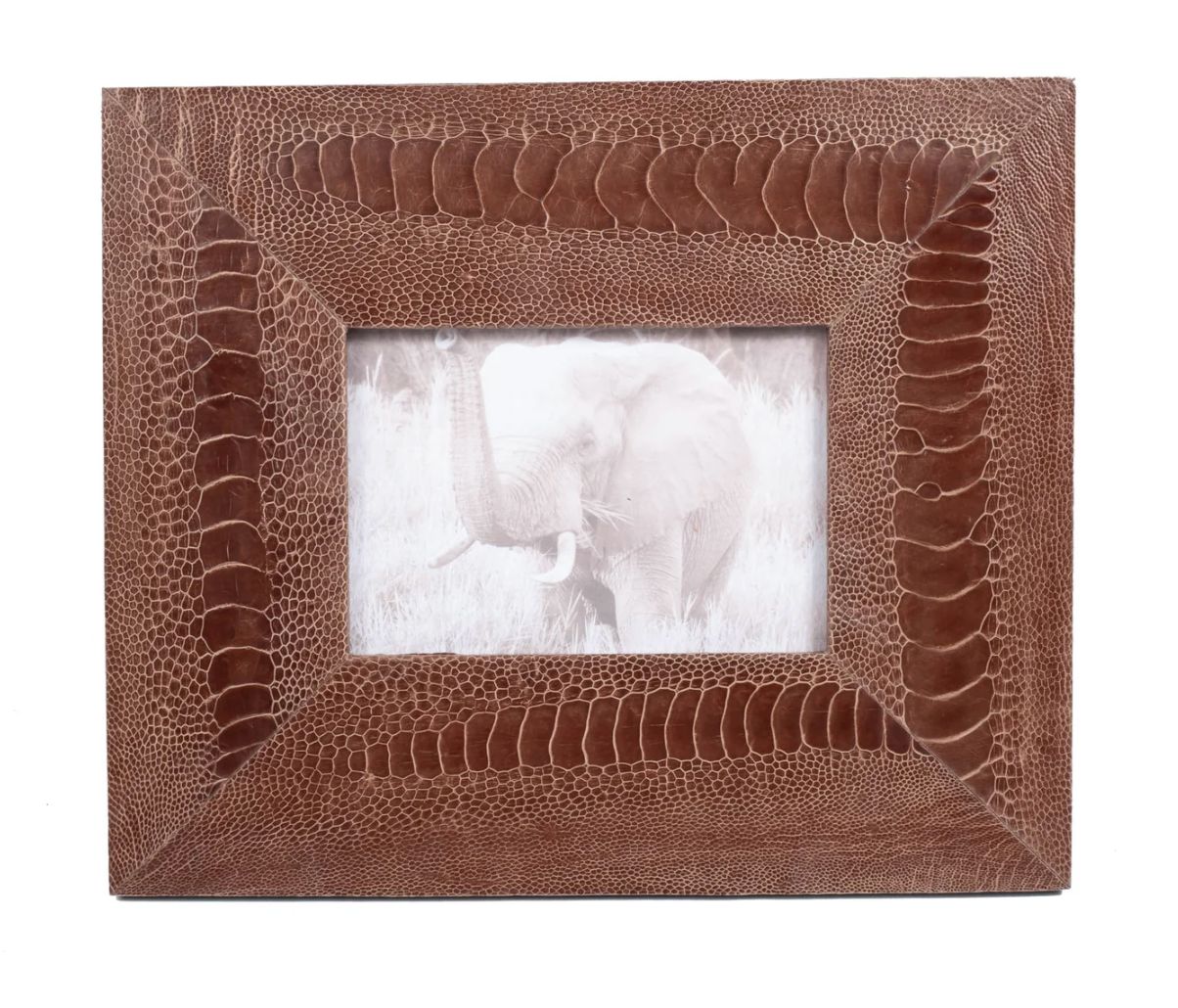 Frame, Ostrich Shin Brown 5 x 7