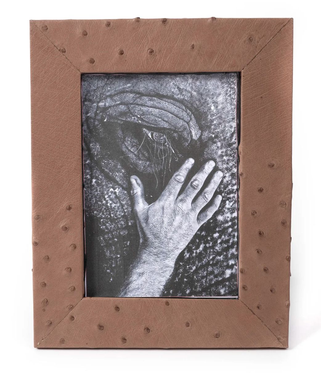 Frame, Ostrich Brown Leather 5 x 7
