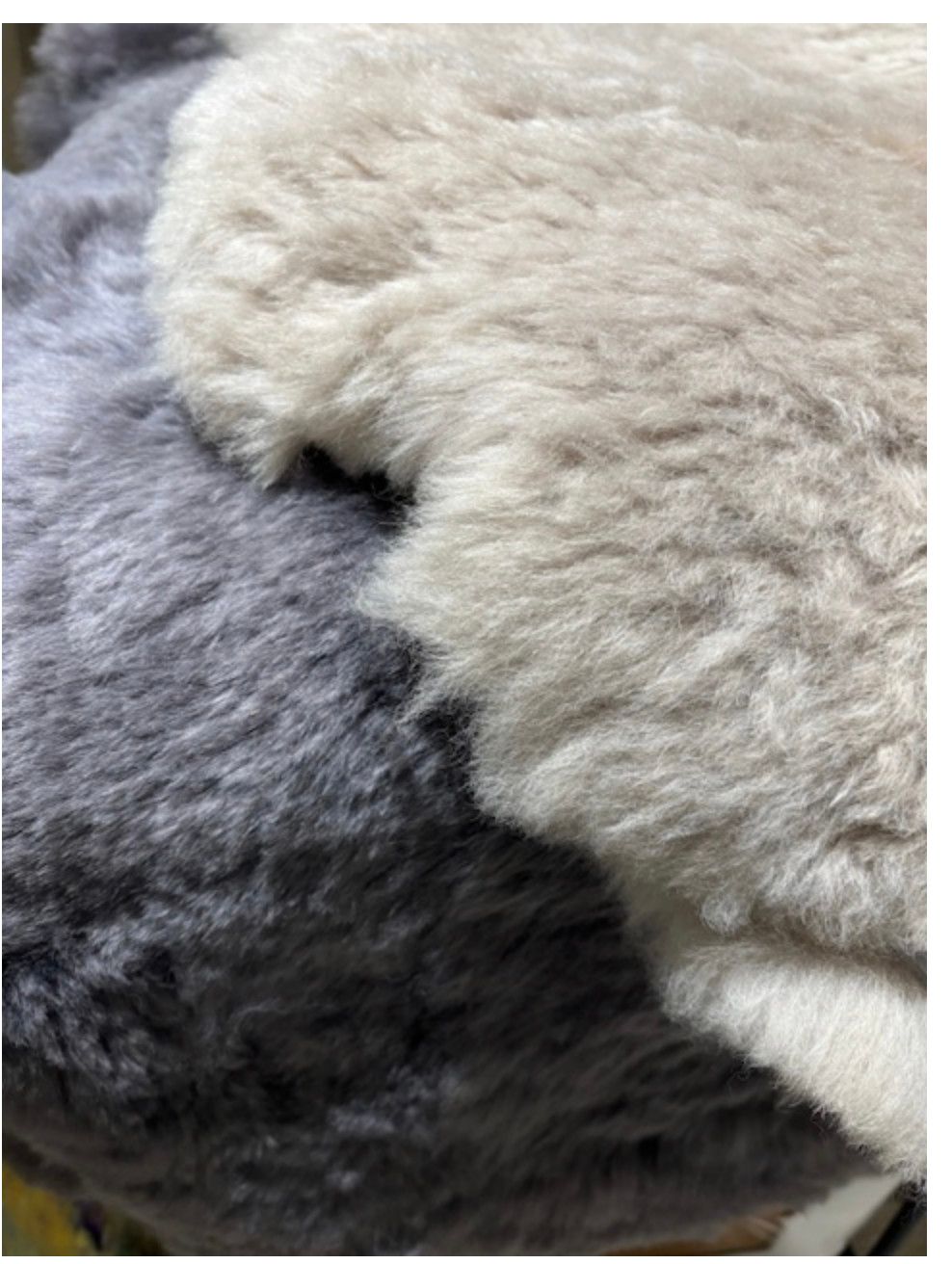 Australian Sheepskin Double-Size Throw/ Rug - platinum grey
