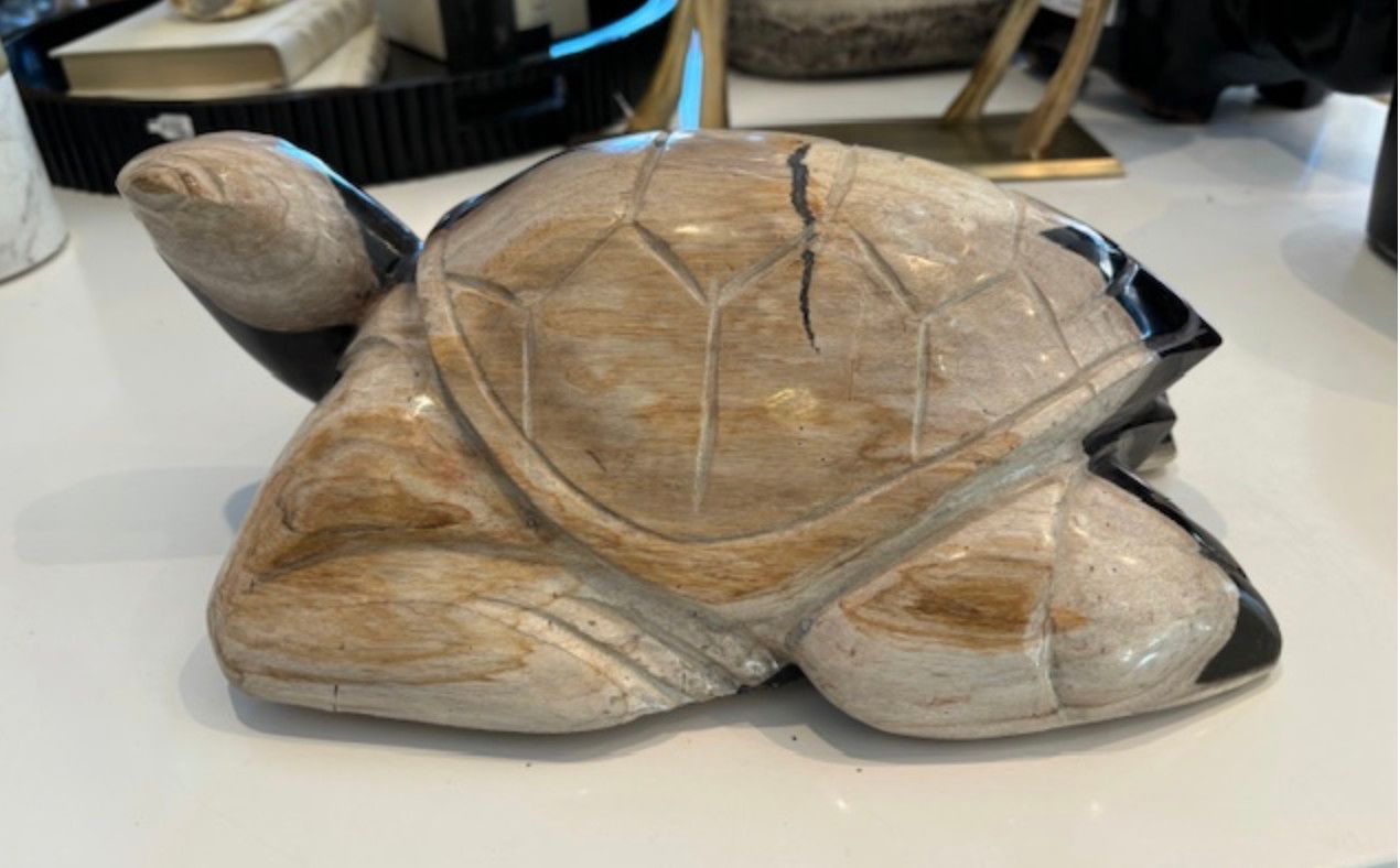 Turtle Petrified Wood / Fossil 13&quot; x 9&quot; x 5&quot;