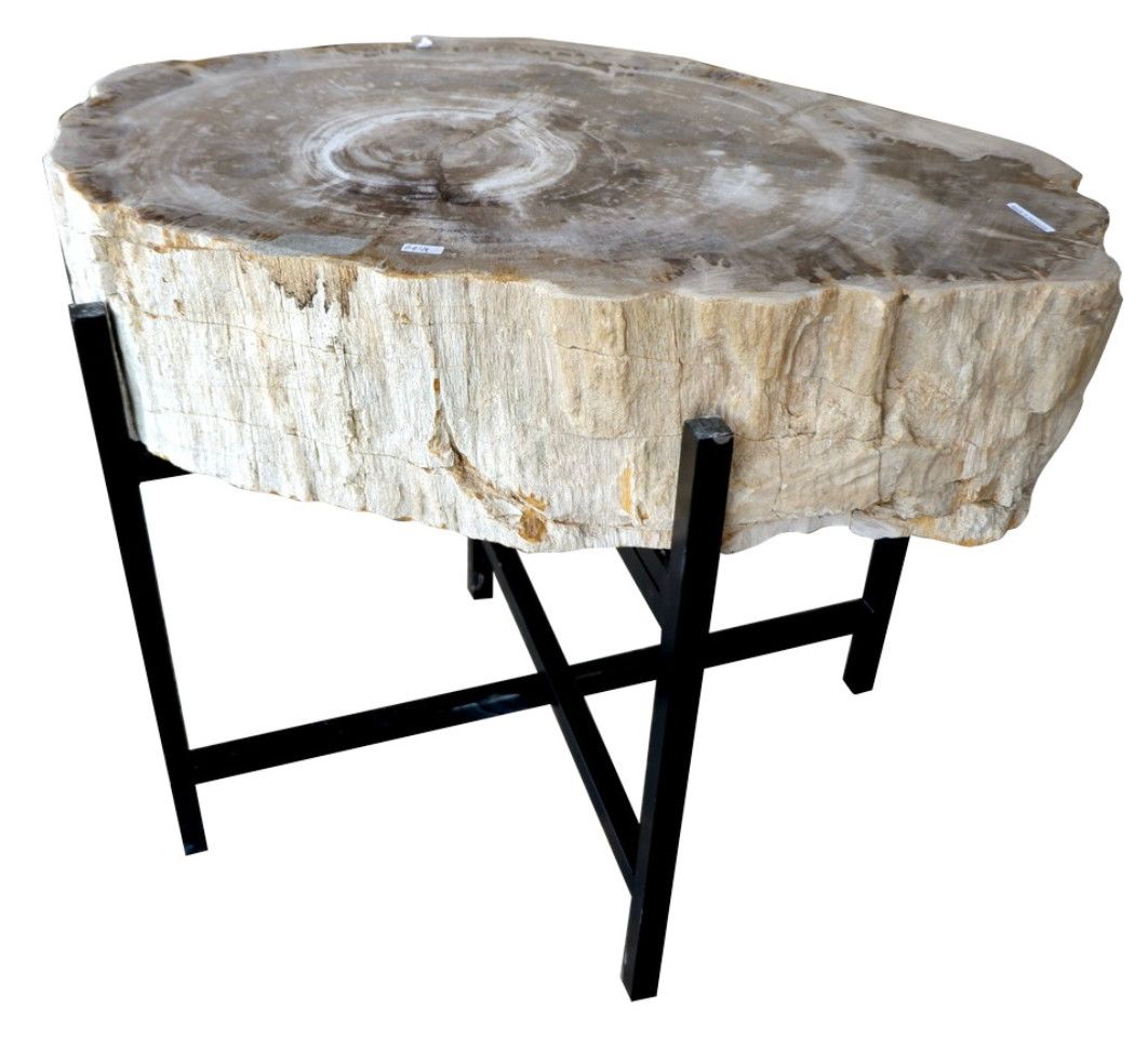 SOLD Petrified Wood / Fossil Side Table on Stand 20&quot; x 20&quot;
