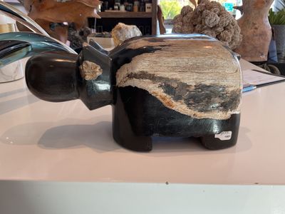 Hippo Petrified Wood 12&quot; x 6&quot; x 6&quot;