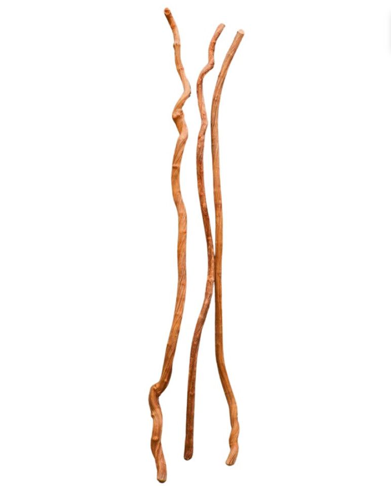 Liana long-stemmed Woody Vine 118&quot; x 2&quot; Indonesia