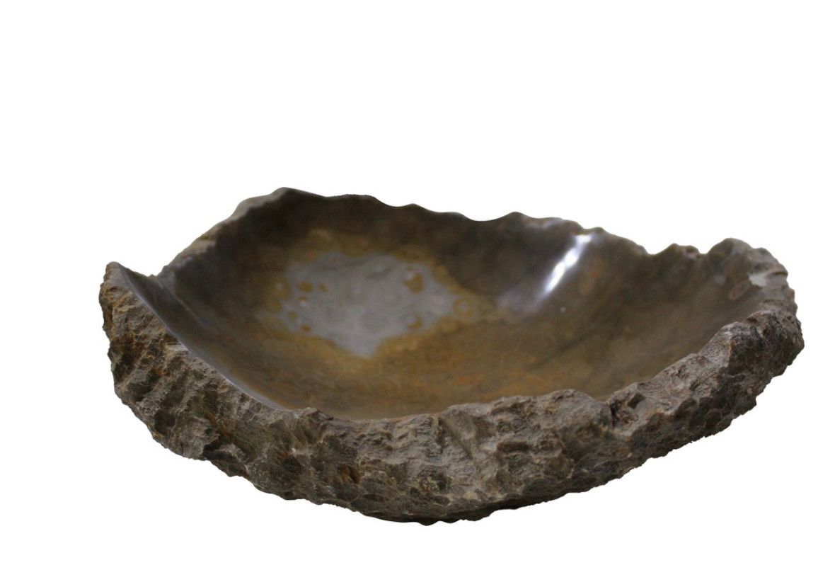 Bowl Coral Fossil Morocco 9&quot; x 8&quot;