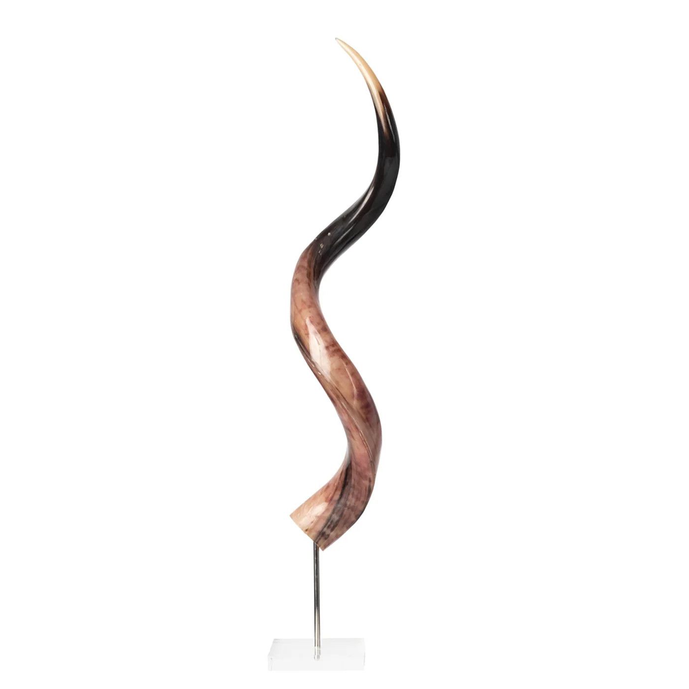 SOLD Polished Horn Kudu Mounted Africa Sustainably Sourced