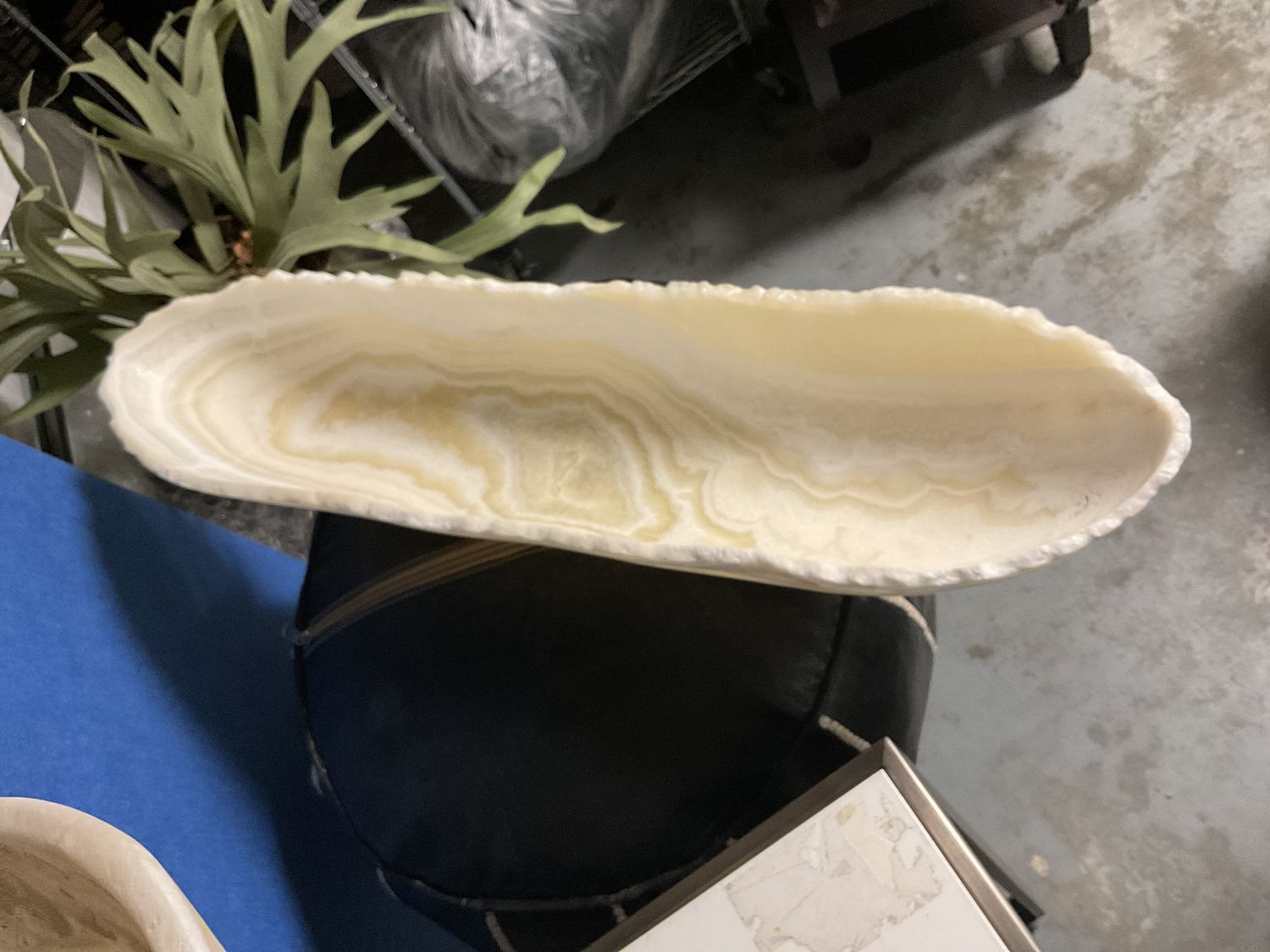 Bowl Canoe Matte Onyx Gold / White 31 x 8 x 9