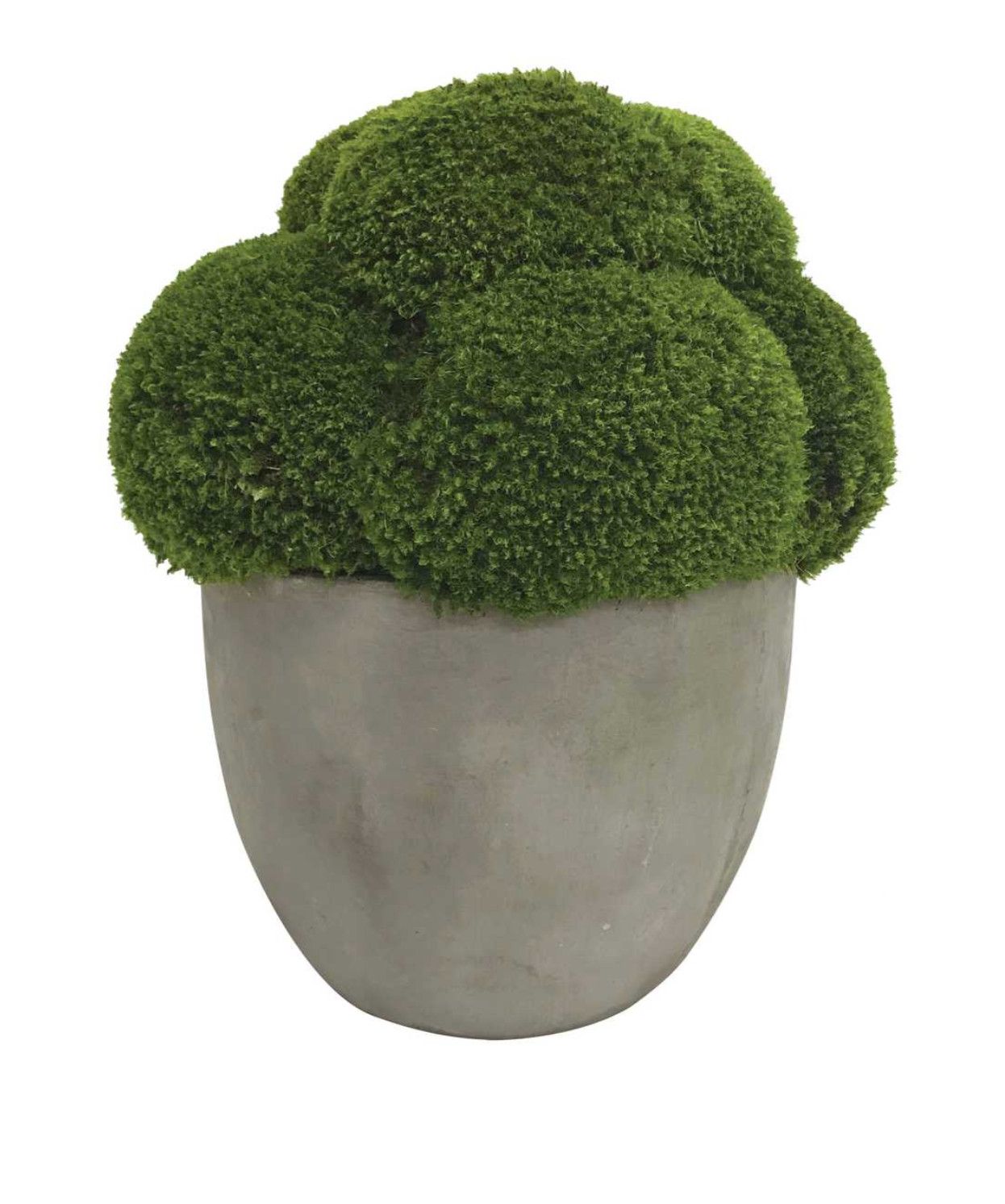 Preserved Moss in Concrete Pot, Small, 11&quot;