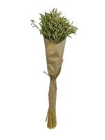 Faux Grass in Craft Paper, Green,  23.6&quot;