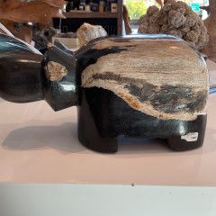 SOLD Hippo Petrified Wood12x6x6