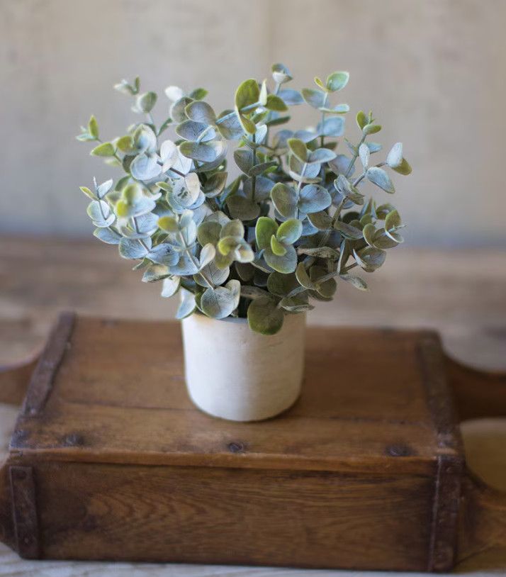 Faux Sage Plant, Concrete Pot, Sm, 2.5&quot; x 8.5&quot;