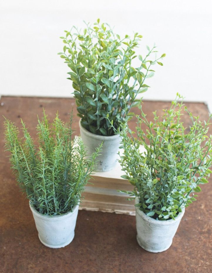Faux Herb Plants, Cement Pots, 5&quot; x 13&quot; H