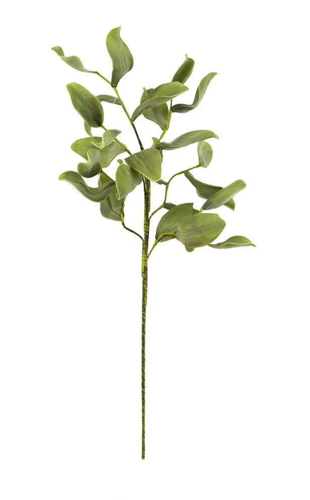 Faux Green Leaf Branch, Ficus, Tall, 40.5&quot;