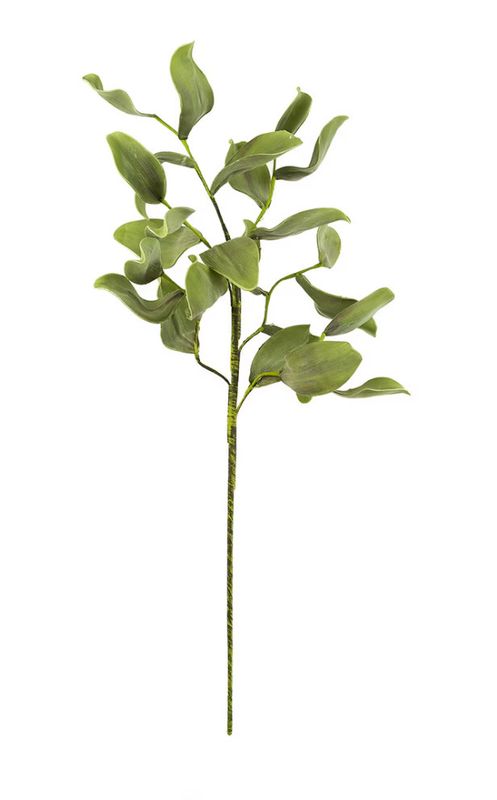 Faux Green Leaf Branch, Ficus, Tall, 40.5&quot;