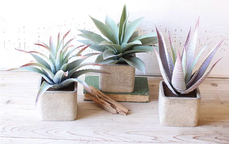 Faux Succulent Plants in Square Pots, Set/3, 4.5&quot; x 4.5&quot; x 11&quot;
