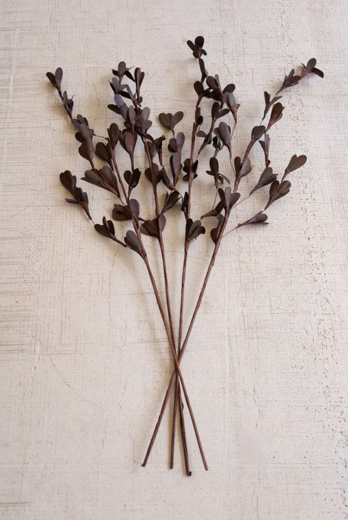 Faux Dried Rud Stick, Brown, Set /4 Stems,  33&quot;