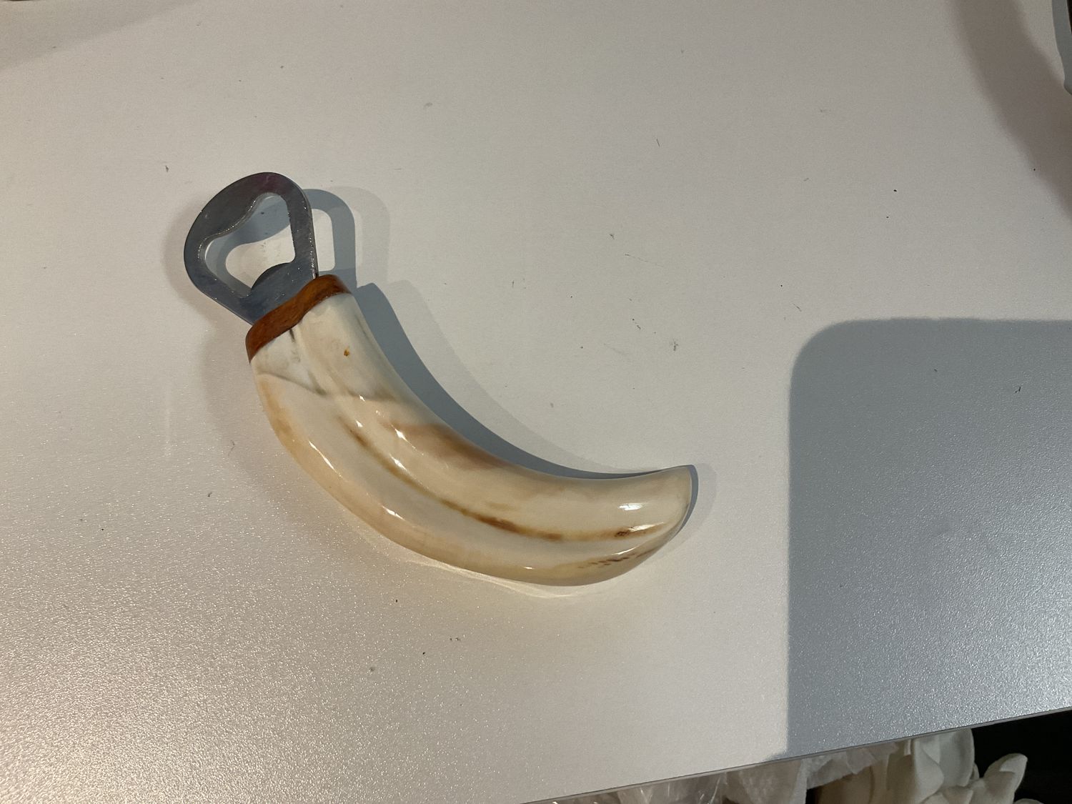 Bottle Opener Warthog Tusk