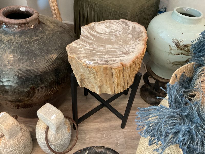 Petrified Wood Raw and Polished End Table 13.5&quot; x 20&quot; H