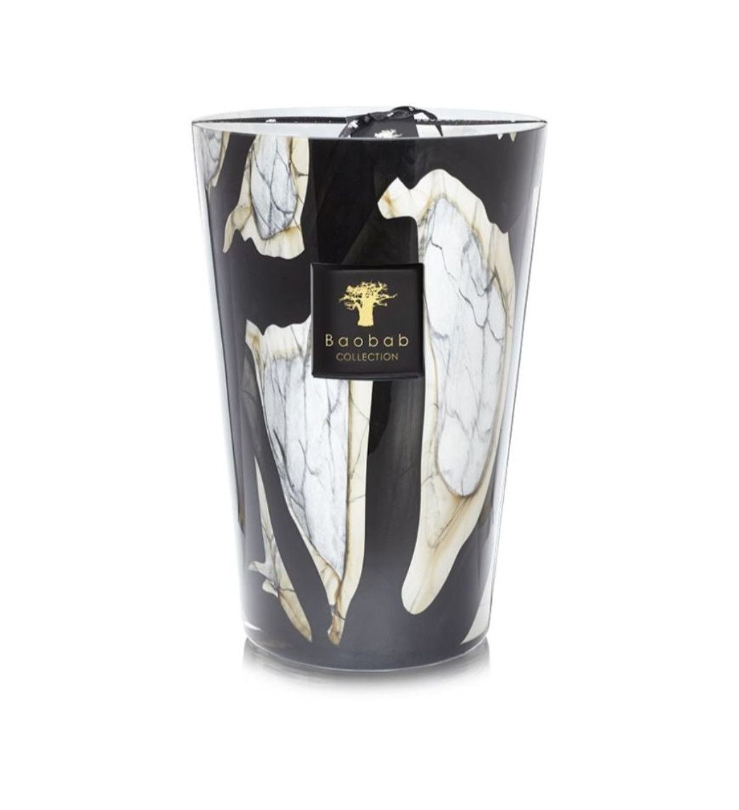 Candle, Leather, Tuberose, Berries, 800 hrs, Hand Blown Glass, Belgium