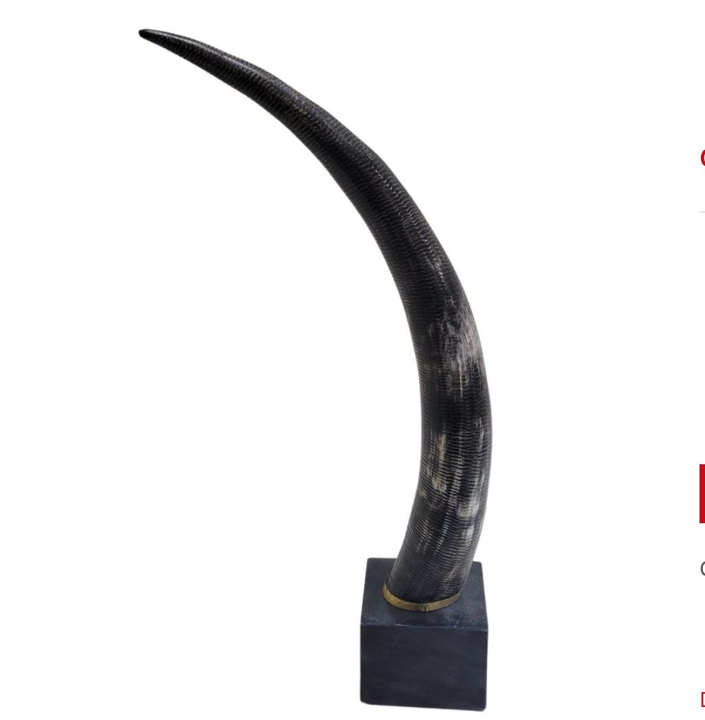 Chiseled Horn On Stand