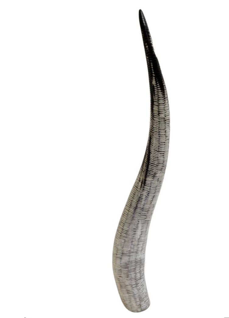 Chiseled Horn Buffalo Chiseled w/out Stand