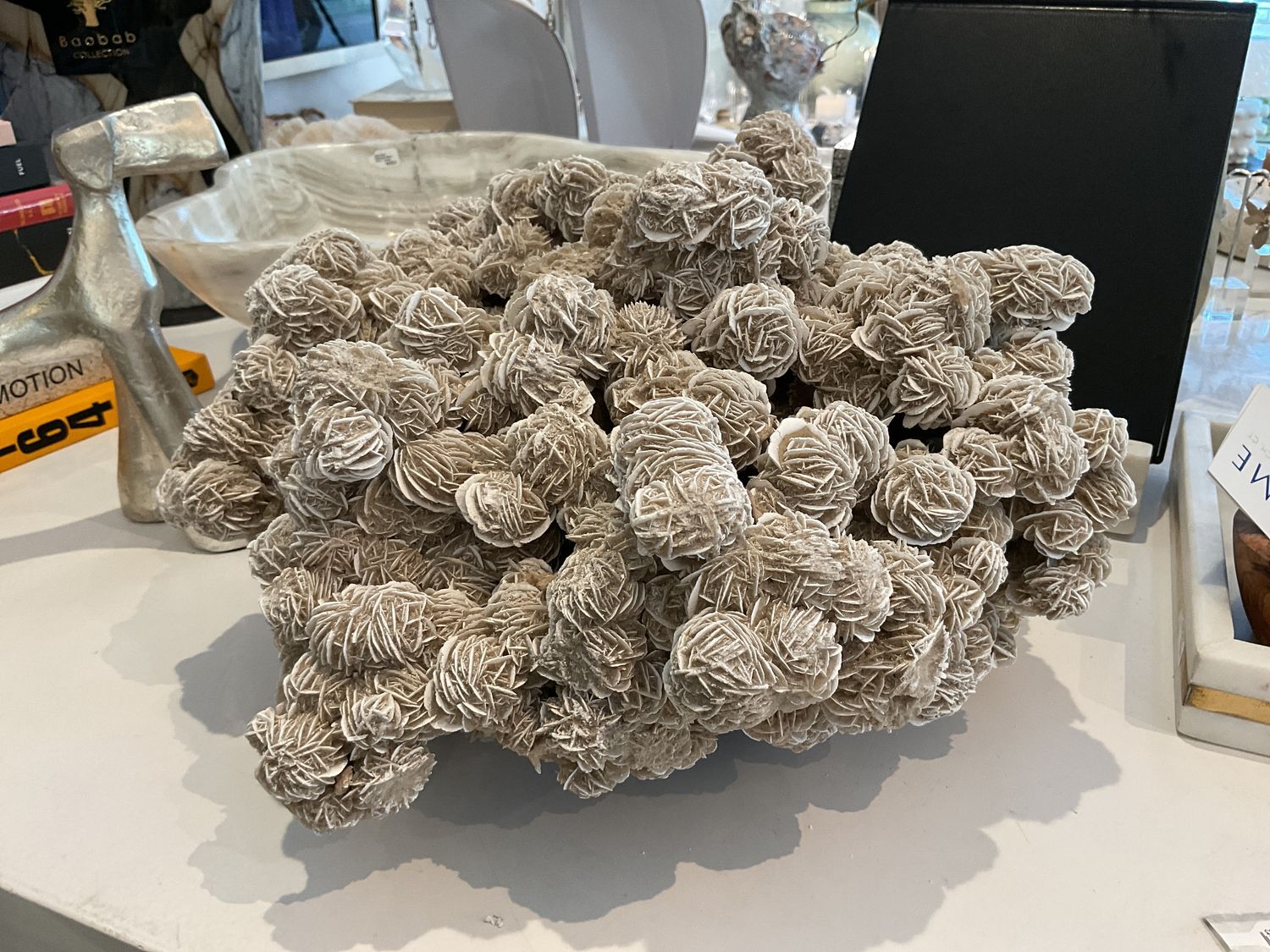 Desert Rose 446832