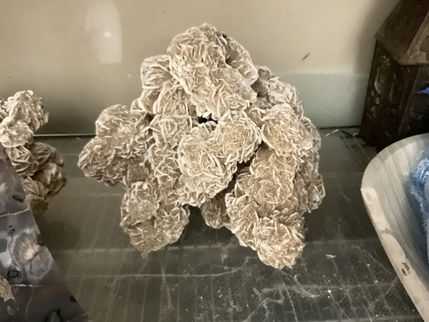 Desert Rose 446839