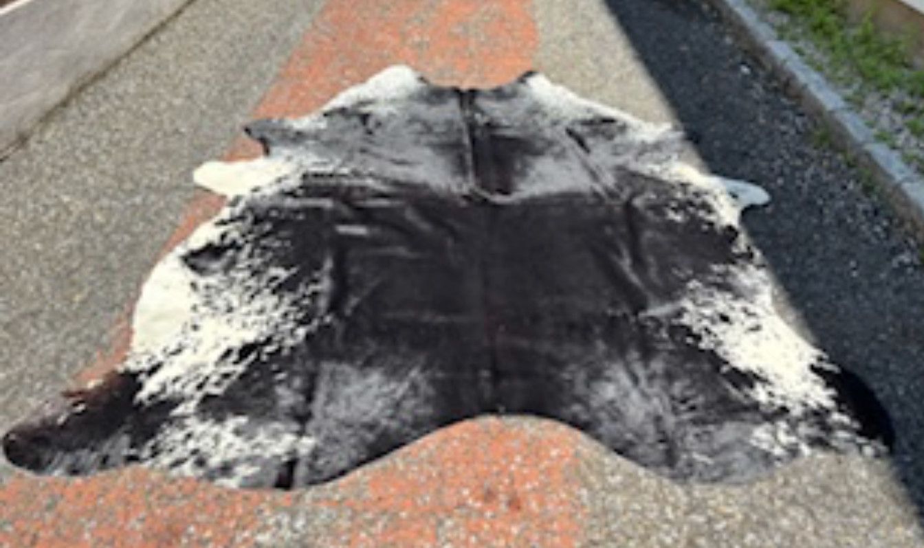 Black Cowhide with White