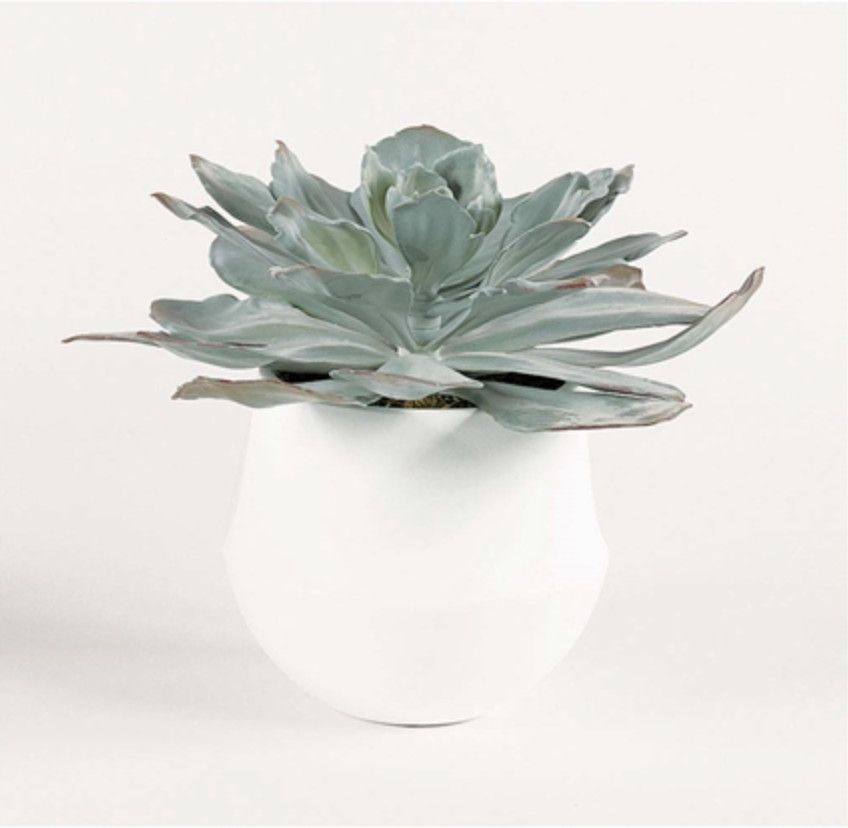 Sage Succulent in Pot, 10&quot;H x 13&quot; W x 13&quot;D, Faux