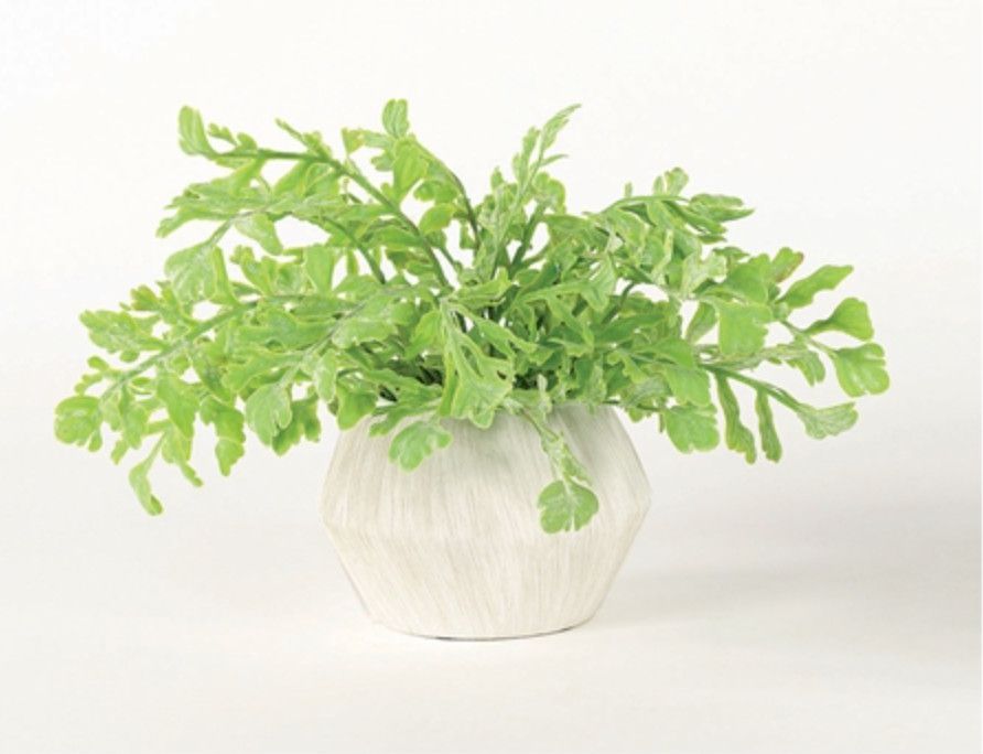 Fern in White Bowl, 11&quot;H x 14&quot;W x 14&quot;D, Faux