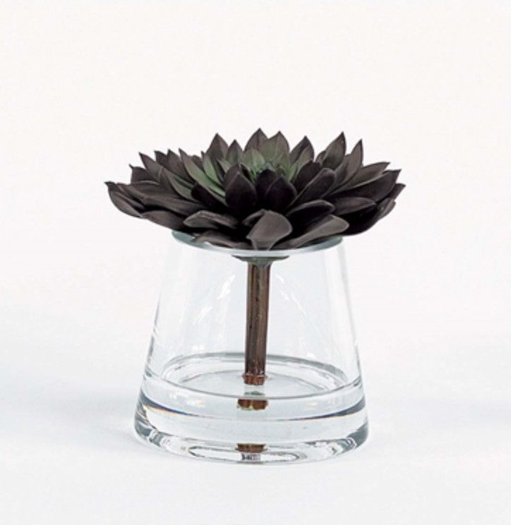Purple Succulent in Glass Vase with Water, 6&quot;H x 6&quot;W x 6&quot;D, Faux