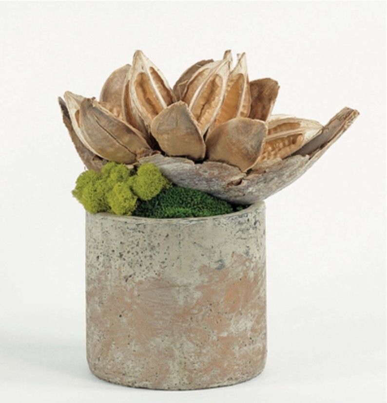 Star Pod in Mud Vase with Greenery, 14&quot;H x 13&quot;W x 10&quot;D, Faux