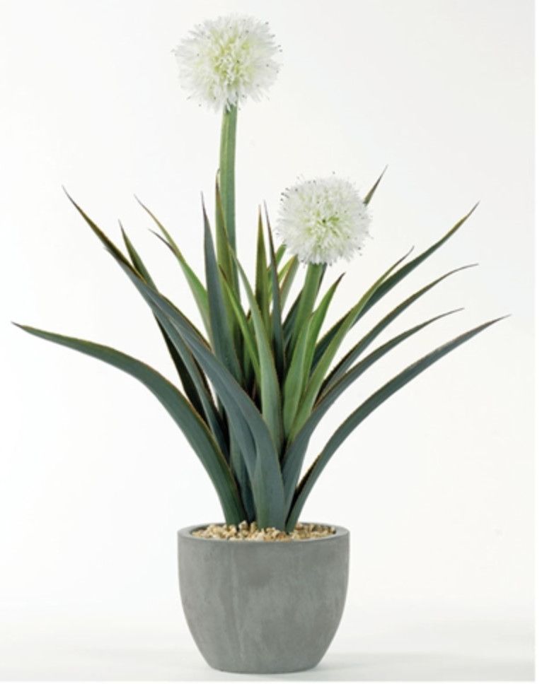 Pandanus in Concrete Bowl, 33&quot;H x 28&quot;W x 24&quot;D, Faux