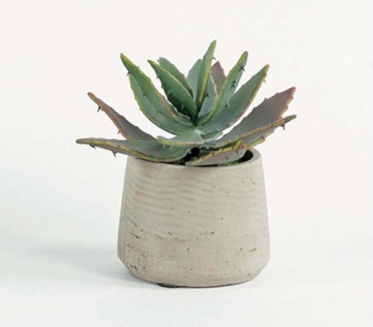 Succulent in Stone Like Vase, 9&quot;H x 8&quot;W x 8&quot;D, Faux