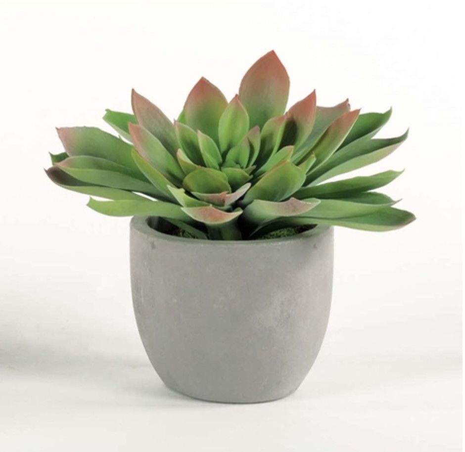 Echeveria Succulent in Concrete Bowl, 10&quot;H x 12&quot;W x 12&quot;D, Faux