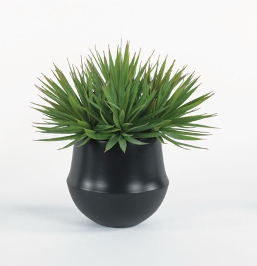 Succulent with Spikes in Black Vase, 12&quot;H x 12&quot;W x 12&quot;D, Faux
